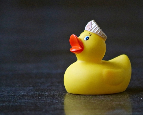 Méthode canard en plastique